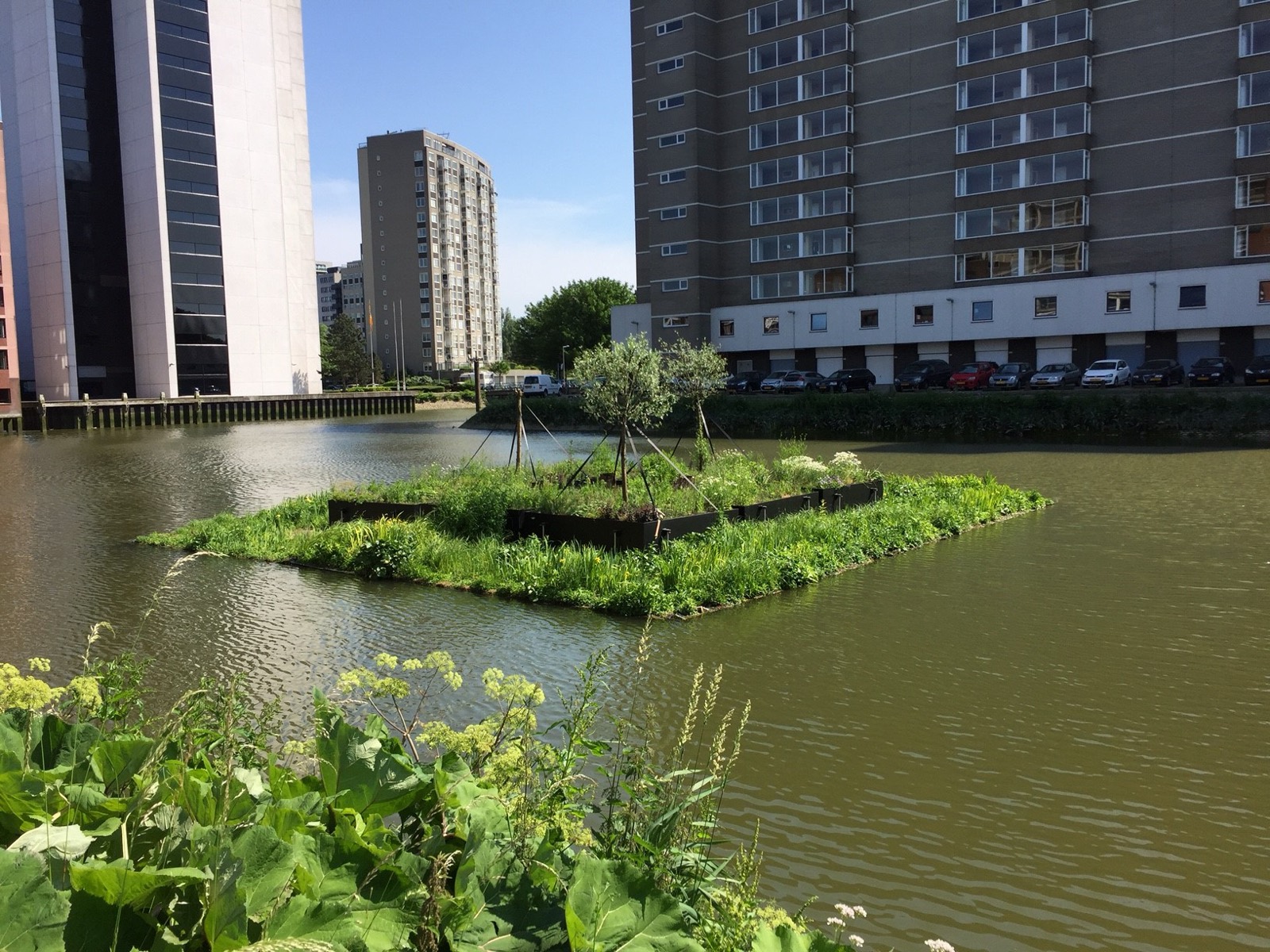 Drijvend stadspark in Rotterdam
